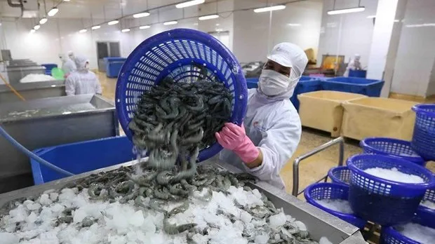 Vietnam’s shrimp exports projected to hit 3.9 billion USD in 2021