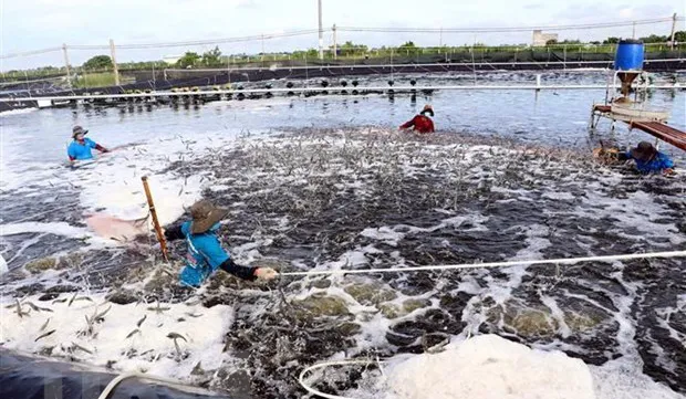 Aquaculture output grows 4.17 percent to 4.75 million tonnes