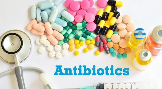 Campaign launched to raise public awareness on responsible antibiotic use
