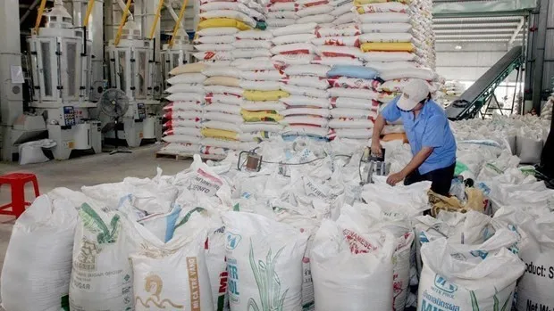 Maintaining domestic rice market stability