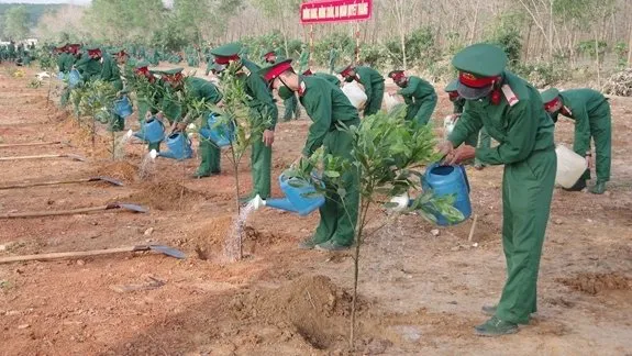 Spring is tree-planting festival