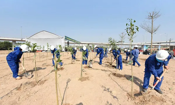 Hanoi launches tree-planting festival for year of the ox