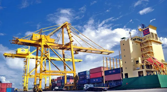 Vietnam’s exports to EU surge amidst COVID-19