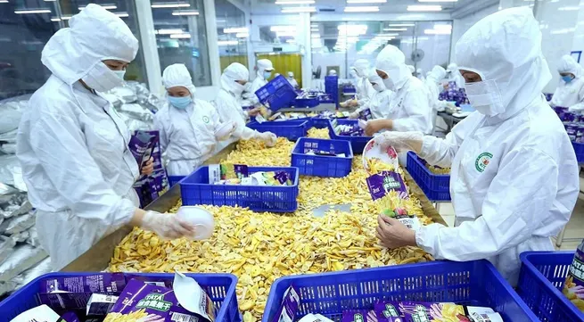 Continuing the success of exports