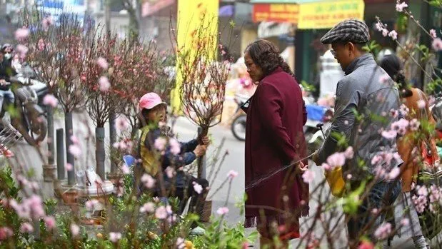 Hanoi postpones many cultural activities due to COVID-19