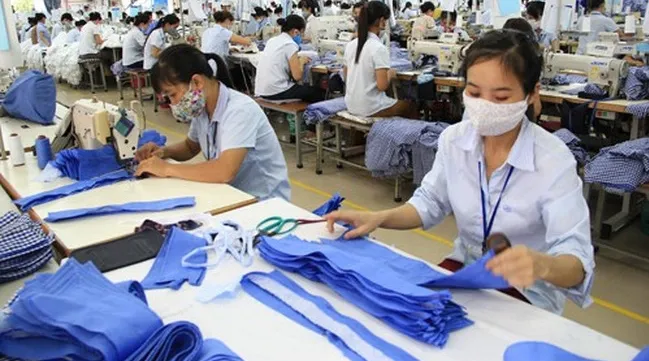 Over 8,000 firms newly established in February