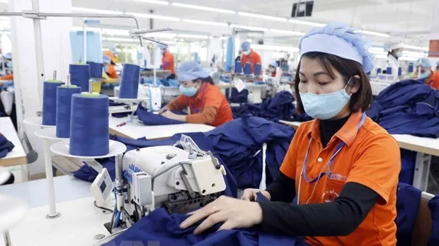 Vietnamese exports to Australia grows rapidly