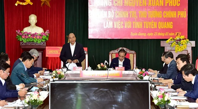 Tuyen Quang advised to pay greater attention to forest economy