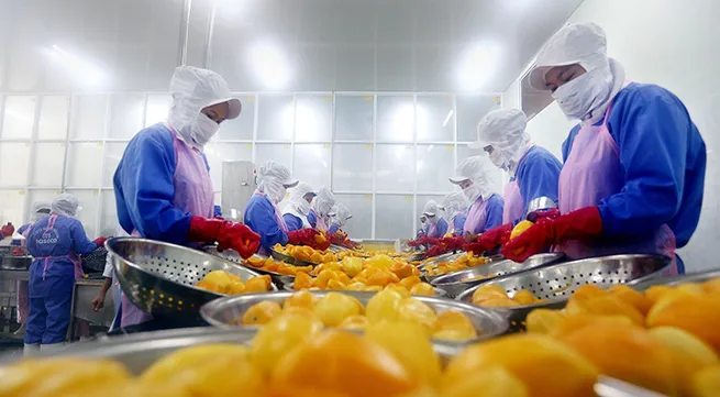 Developing value chains for agricultural products