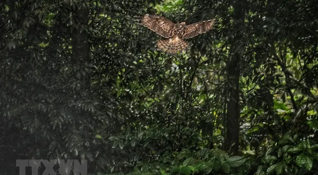 “Going Home” tour provides wildlife releasing for tourists