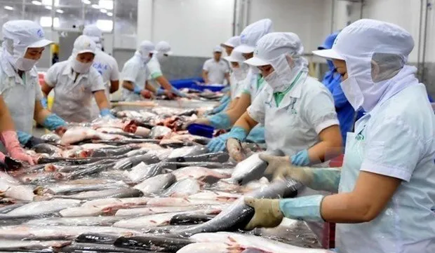 Sustainably developing the fisheries sector