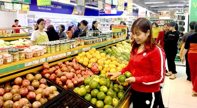 Creating basis to promote development of domestic market