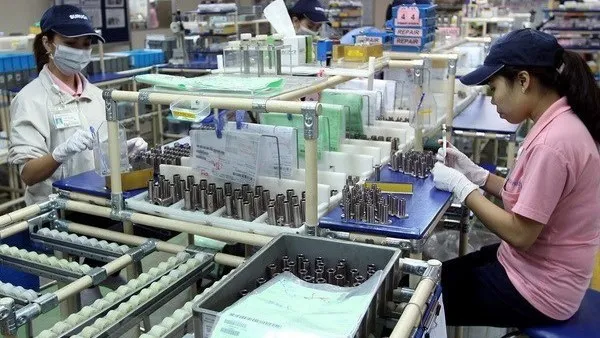 Vietnam, Singapore beef up investment links in industry