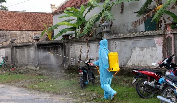 Five domestically-transmitted cases of COVID-19 reported on April 29