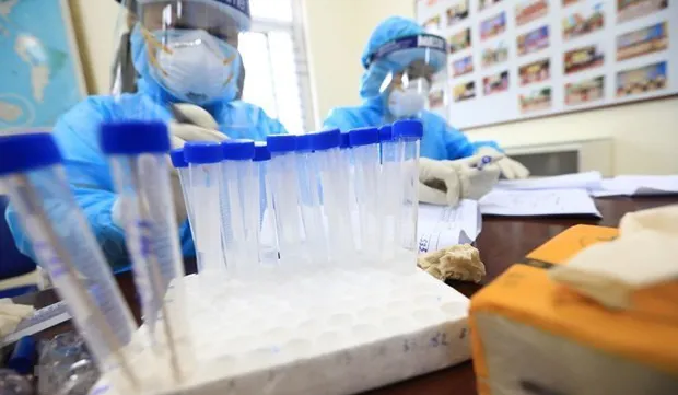 COVID-19: No new cases reported over past 12 hours