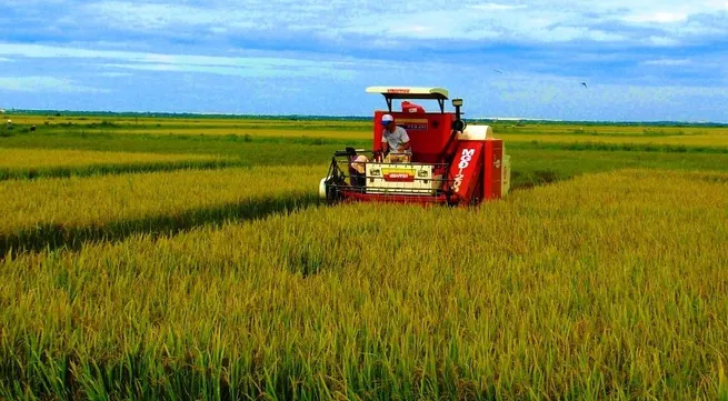 Quang Binh farmers enjoy bumper rice crop