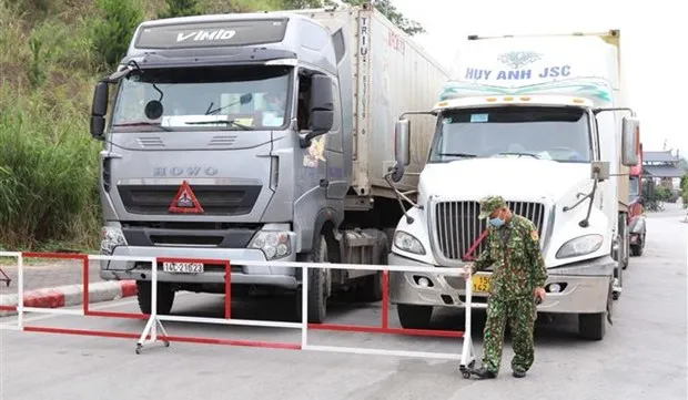 Vietnam-China border trade vibrant despite COVID-19