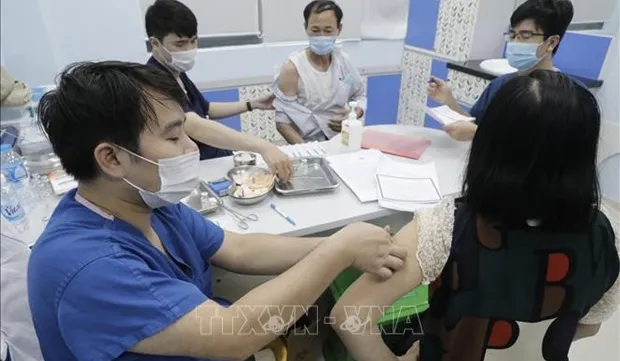 116 local infections detected on June 24 afternoon