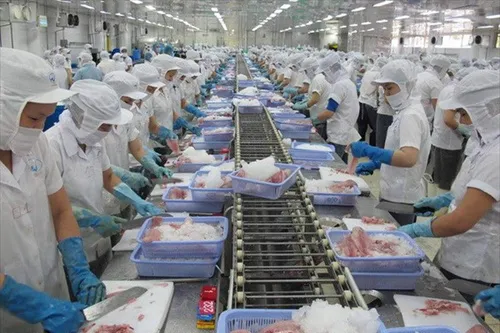 Aquatic product export exceeds 4.1 billion USD in H1