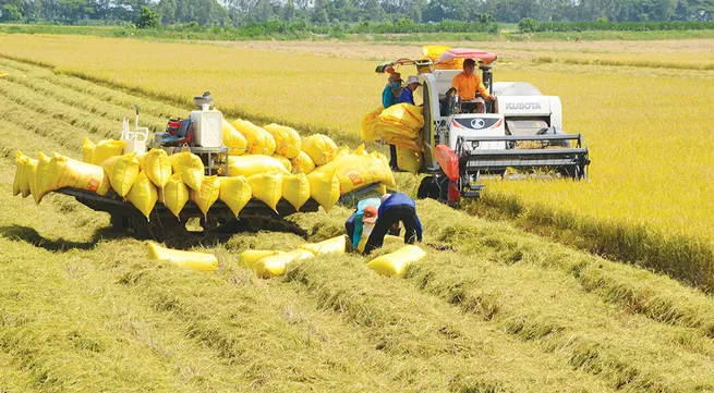 First national dialogue on Vietnam food systems held