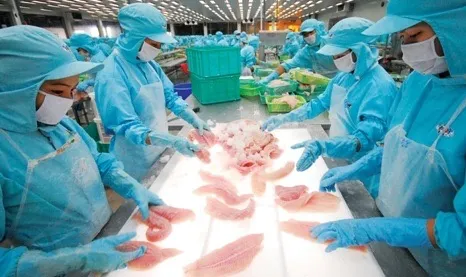 Measures devised to ensure sustainable jobs for all workers