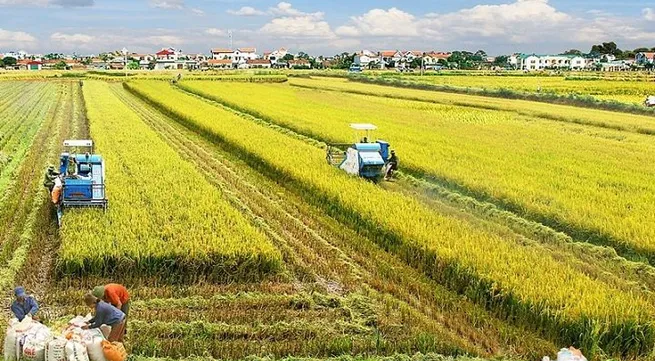 Vietnam’s unused land area at over 1.23 million: MONRE