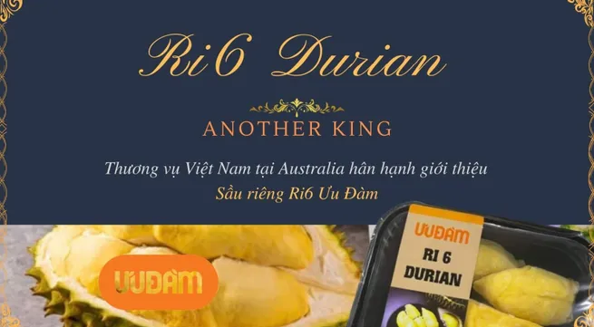 Vietnamese durians gain foothold in Australia
