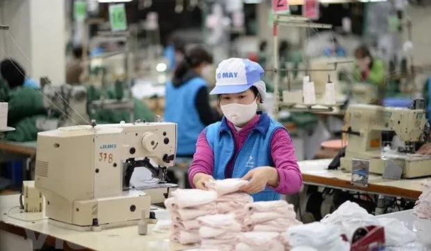 Vietnamese economy to grow despite COVID-19: ADB