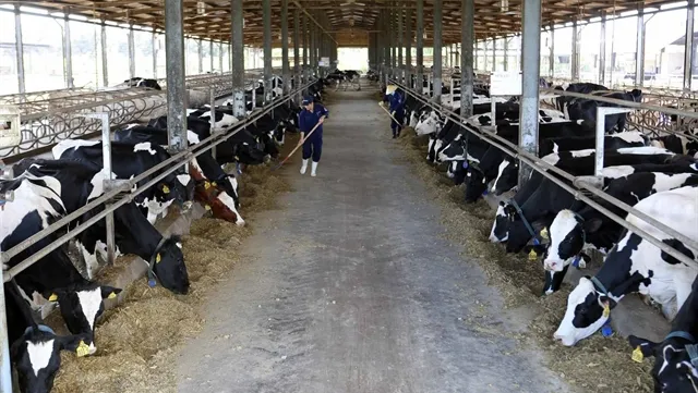 Singaporean firm wants to up stake in Vinamilk