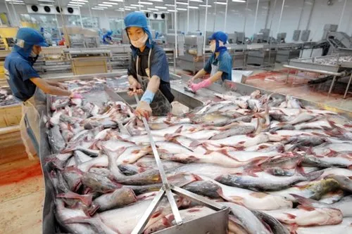 VASEP requests support for seafood exporters