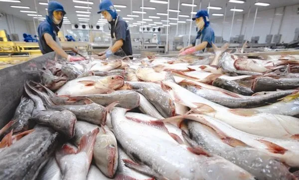 Tra fish exports to US, China rise in March