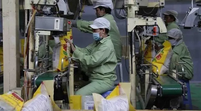 Algeria looks to promote trade, economic cooperation with Vietnam