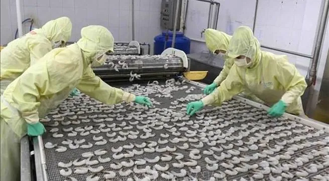 Total fishery output reaches 6.75 million tonnes in nine months