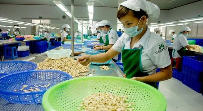 EVFTA ushers in greater outlook for trade and investment