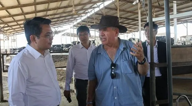 Vietnam learns about collective economy models in Israel