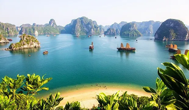 Vietnam among most searched tourist destinations on Google by Australians