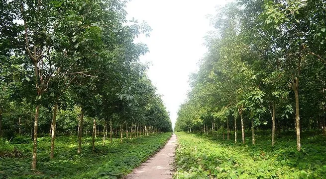 Vietnam’s Cuc Phuong Park named Asia's Leading National Park