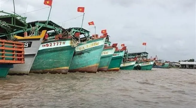 Vietnam making utmost efforts to tackle IUU fishing: Deputy PM