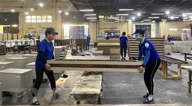 Forum discusses promotion of legal, sustainable timber value chains