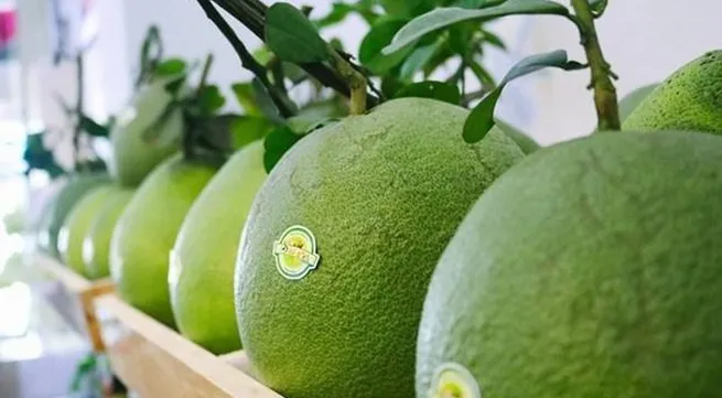 Vietnamese pomelo gets green light to enter US market