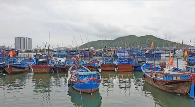 Khanh Hoa asked to hasten moves to address IUU fishing