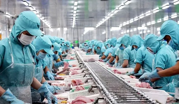 Vietnam’s seafood market share in Latin America increases thanks to CPTPP