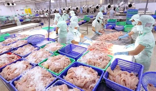 Fishery export completely recovers after COVID-19: official