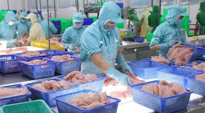 Export value of aquatic products up 38% in nine months