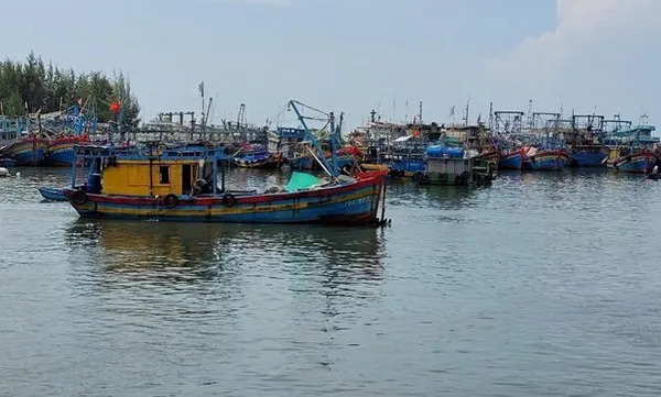 Vietnam works hard to prevent fishing vessels' infringement of foreign waters