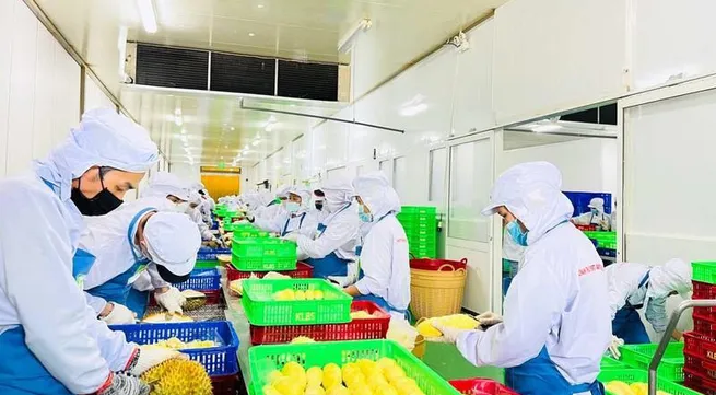 Vietnam accelerates agricultural exports in final months of 2022