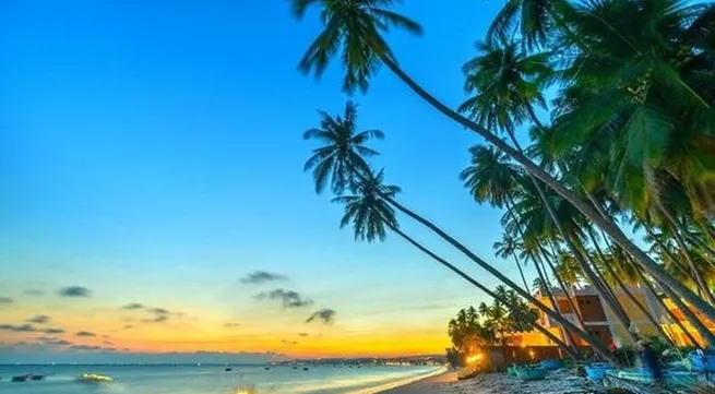 Visit Vietnam Year 2023 promotes green tourism