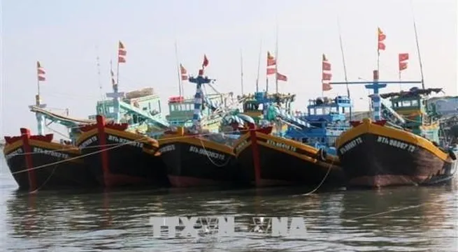 Quang Tri takes concerted measures to prevent IUU fishing