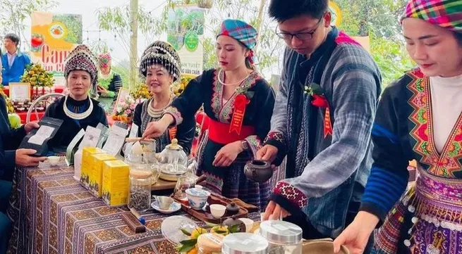 Yen Bai receives geographical indication certificate for Suoi Giang Shan Tuyet tea