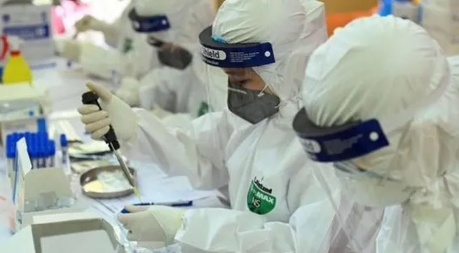 Vietnam records 206 new COVID-19 cases on November 14